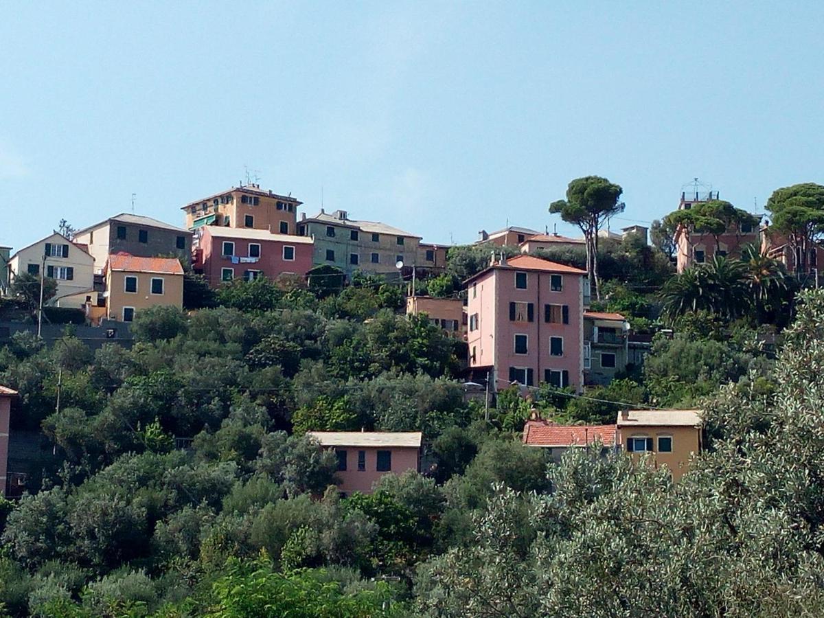 Villa Villino "Il Rustichetto" Genua Exterior foto
